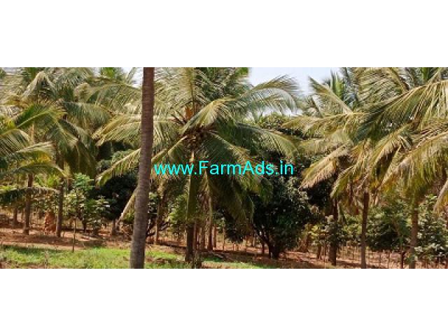 4 acre coconut garden for sale near Arsikere