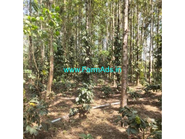 1 acre 27 Gunta coffee and Areca plantation for sale in Chikmagalur