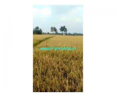 4.30 Acres Agri Land for Sale near Acharapakkam