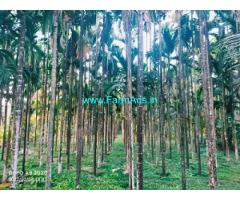 5 acre agriculture land for sale at Kokkada