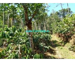 9 acre Robusta plantation with 5bhk house sale at Mudigere
