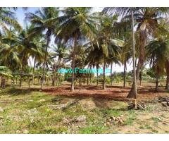 Total 1.5 acre, coconut garden for sale near Tiptur