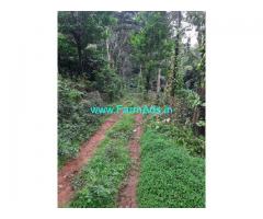 4 Acres River attached Coffee estate for sale in Kodagu