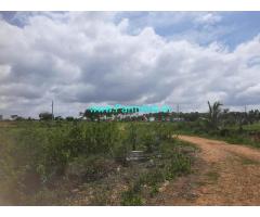 Agriculture land for sale 1 Acre near Nelamangala