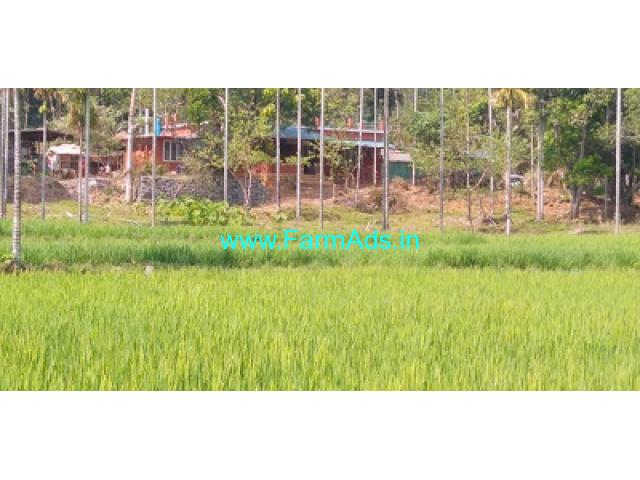 7.34 acres Farm Land for sale at Attappadi