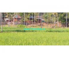 7.34 acres Farm Land for sale at Attappadi