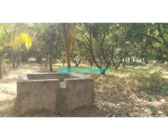 2 Acre mango farmland  for sale near ECR Koovathur