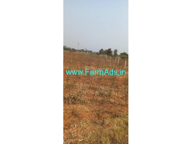 6 Acres farm land for sale near Komuravelli kaman