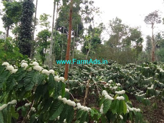 5 acre Robusta plantation sale in Chikmagalur