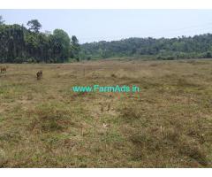 11.5 acre agriculture land sale in Mudigere