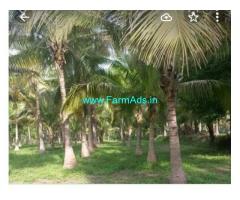 One acre coconut farm for sale near Tiptur , near NH