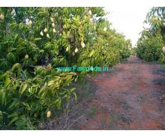 Total Area 226 Acres Farm Land for Sale near Tirunelveli