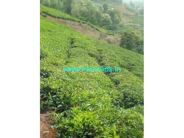 10 acre's Maintained Tea estate Property for sale in Ooty