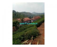 10 acre's Maintained Tea estate Property for sale in Ooty