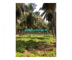 9 Acres Coconut farm for sale near Thondamuthur