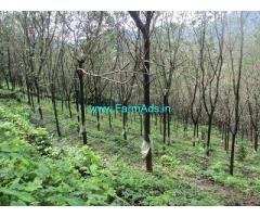 10 acres of fertile land for sale at Vellarikundu , Balal post