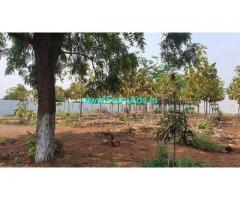 1.5 Acre Teak Farm for sale at Moinabad