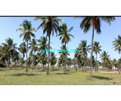 4.30 acre Farm land sale in Chikmagalur,15km from Ajjampura