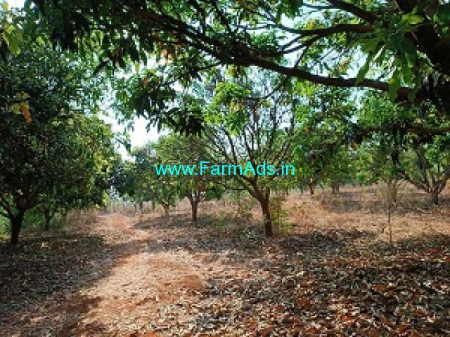 10 Acres Mango Garden for sale near Zahirabad