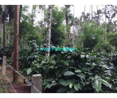 12.45 Acres coffee Estate with Farm house for Sale off Balale,Devanoor