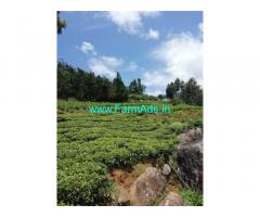 1 acre tea estate for sale in Ooty