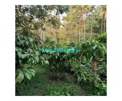 2.5 Acres Of Average Maintained Estate For Sale near Mudigere