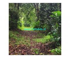 2 acre commercial converted land for sale in Chikkmagalur