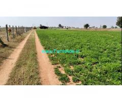 1 Acre Agriculture land For Sale near Amangal