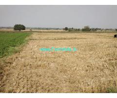 20 Agriculture land for sale near Amangal