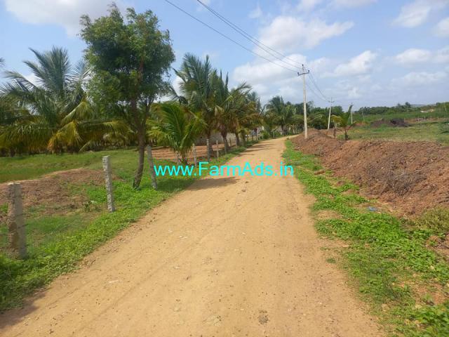 9 Acre Coconut Tree farm Land for Sale near Hiriyur
