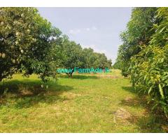 50 Acres Agricultural mango farm for Sale at Srinivaspur taluk