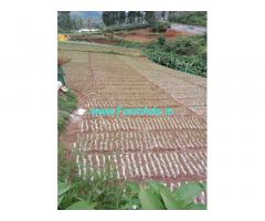 14 cents for sale in Ooty near Ooty to Kotagiri main road