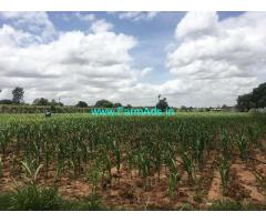 1 acre 35 guntas Farm land for sale in Doddaballapur