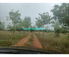 Agricultural land 100 acre for Sale near Mulbagal