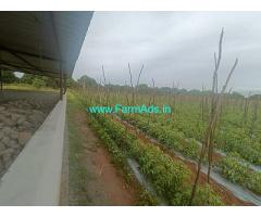 Agricultural land 10 acre for Sale near Siddimata