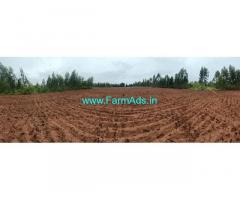 1.29 Acre of Agriculture Land for sale near Beedikere Agrahara