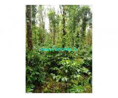 4 acre well maintained Arabica plantation sale in Belur
