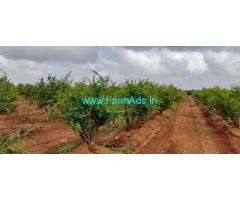 82 Acres Farm land for Sale Near Somalapuram