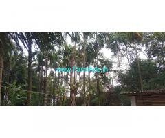 42 Cents Agri land with RCC House for Sale in Betigae Mura