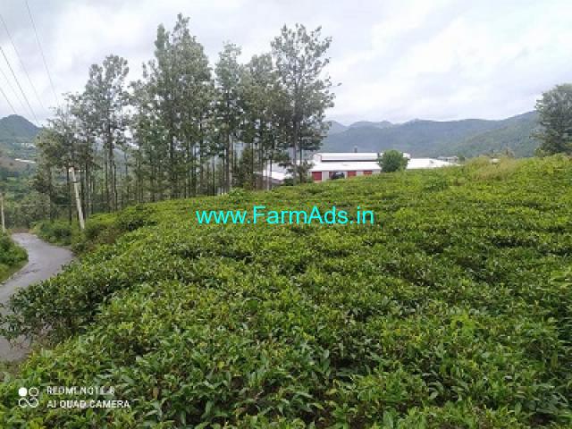 21 cents extent Tea garden for sale at Ooty