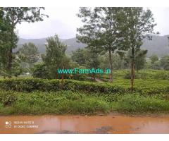 31 Cents Extent Tea Garden Land For Sale In Ooty