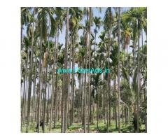 8 acre well maintained Arecanut plantation for sale in Sakleshpur