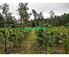 2 acre areca coffee land for sale at Alur