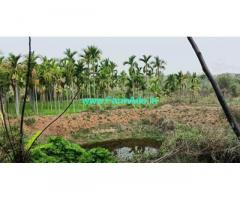 4 acres areca nut farmland for sale near Tumkur,Bangalore Pune NH