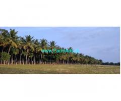 9 Acre yielding Areca plantation Sale near Sira
