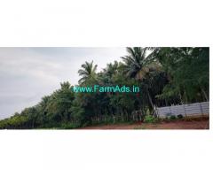 9 Acre yielding Areca plantation Sale near Sira