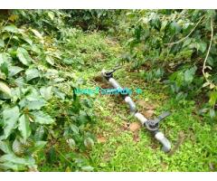 2 acre well maintained Arabica and pepper plantation sale in Chikmagalur
