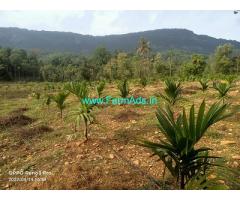 100 acre single boundary for Sale at Kundapura taluk