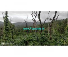 3 acre well maintained Robusta plantation sale in Mudigere