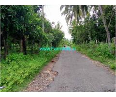 5 Acre Coconut Farm Land for Sale Govindhaprathil